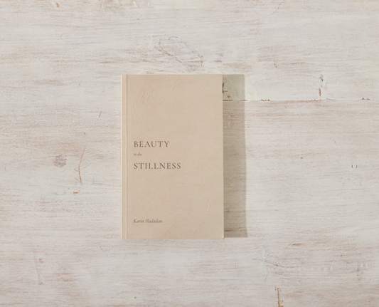 Beauty In The Stillness - book